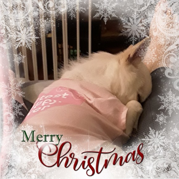 tammy_pritchett